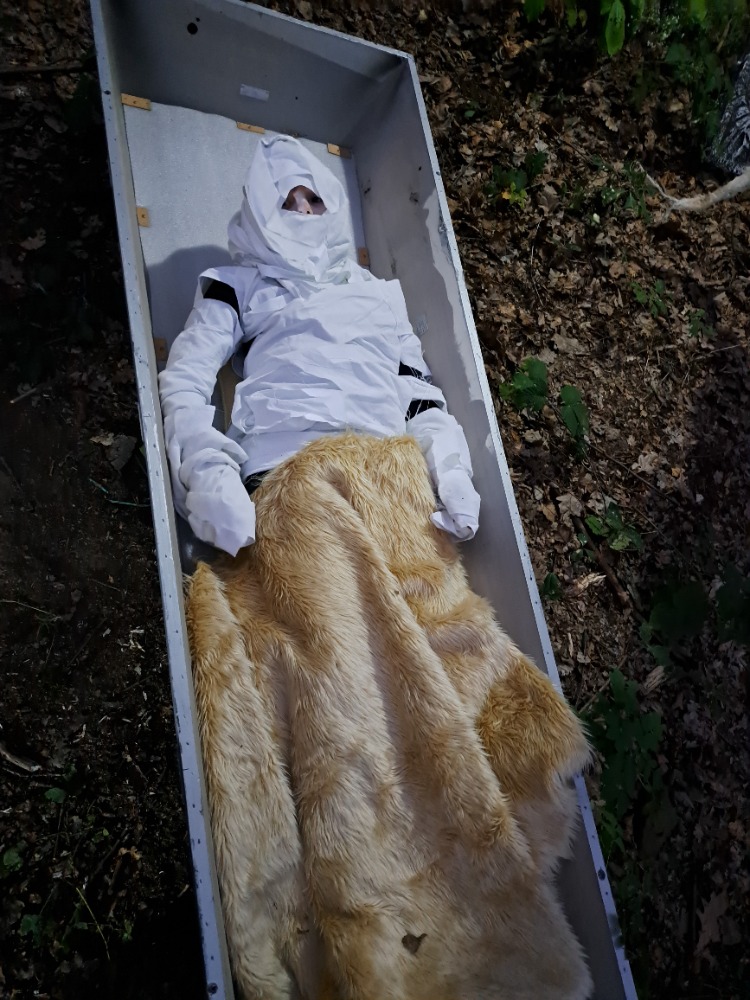 Strašidelný les, účinkující